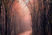 克莱首战旧主命中六记三分，但库里准绝杀中新体坛.