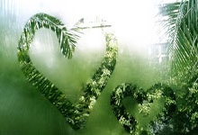 亚冬会火炬传递仪式举行，点燃冬季运动热情.