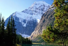 不输马来虎即闯亚锦赛四强 雄狮誓不重蹈覆辙.